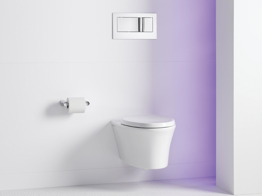 Veil Wall Hung Toilet