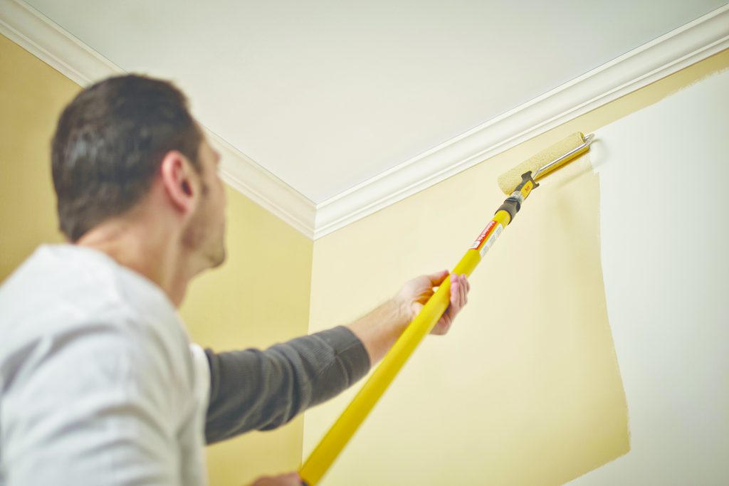 Extendable paint pole For Residential Pros