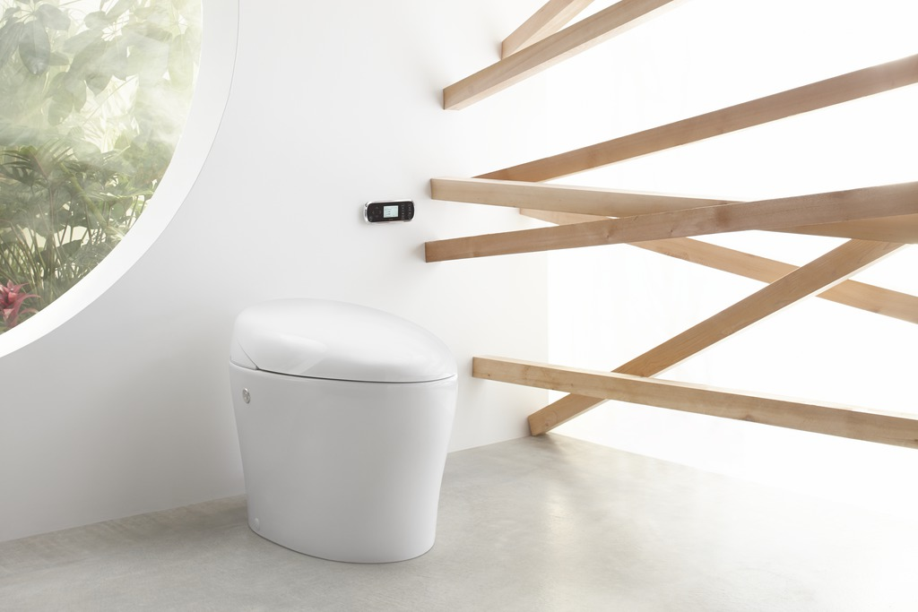 Bidet functionality within toilet