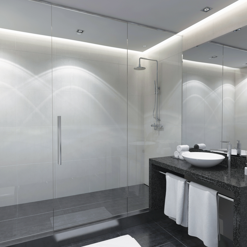 Frameless Shower Doors