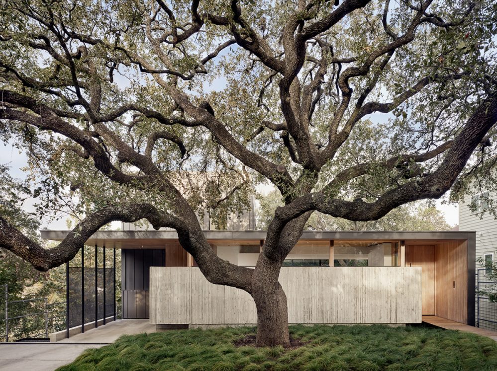 Case Study: Alta Vista Residence by Alterstudio