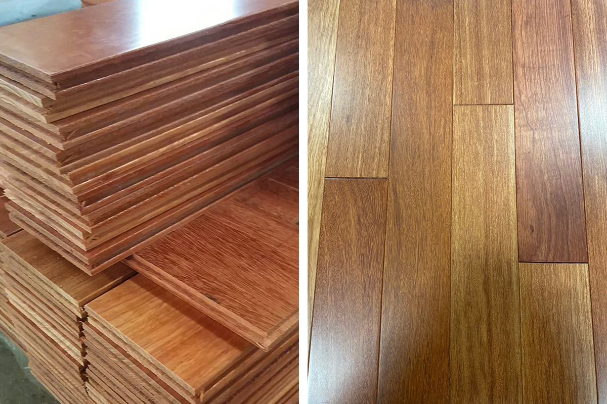 essential oils for dog dandruff