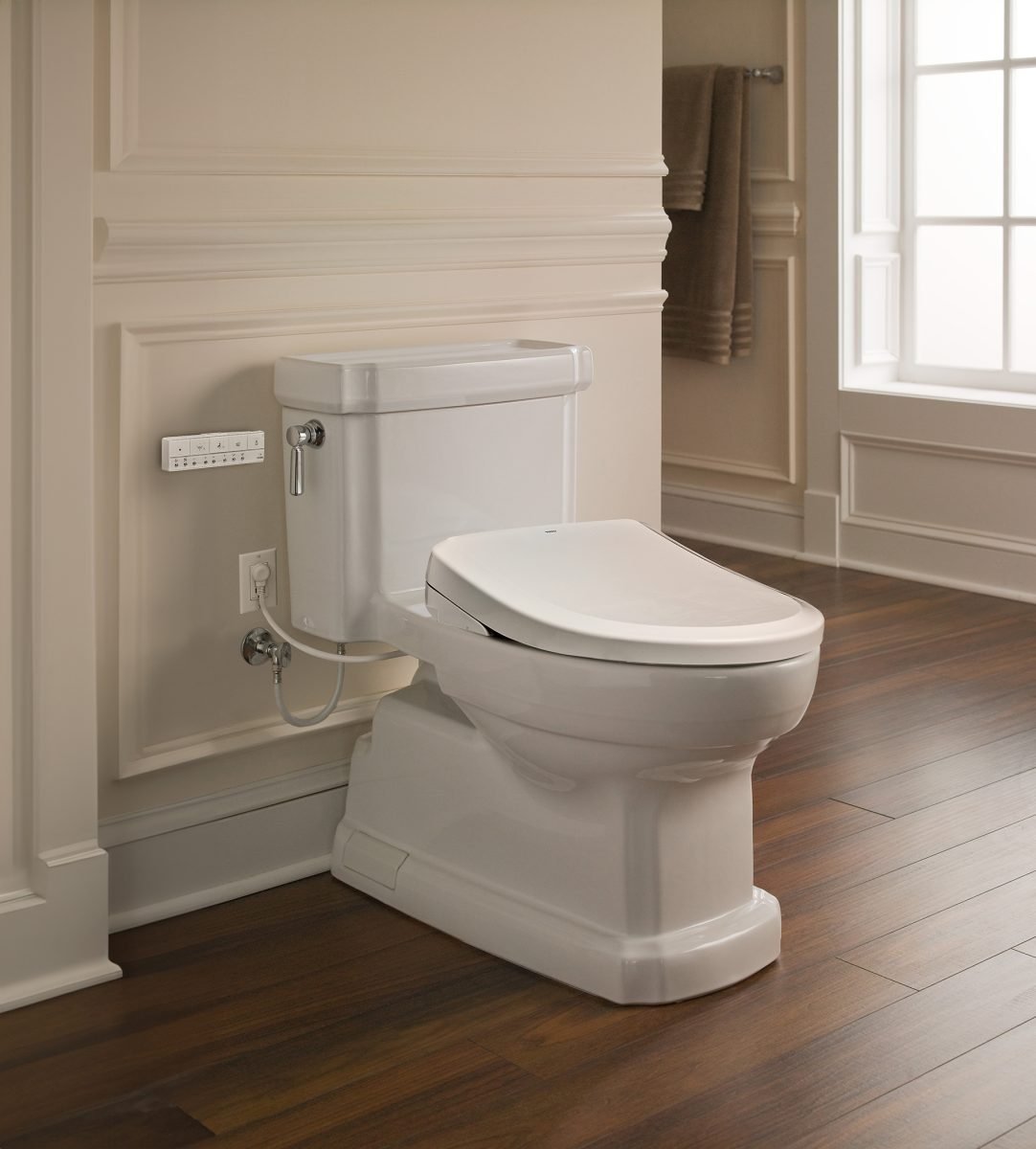 Bidet Toilet System