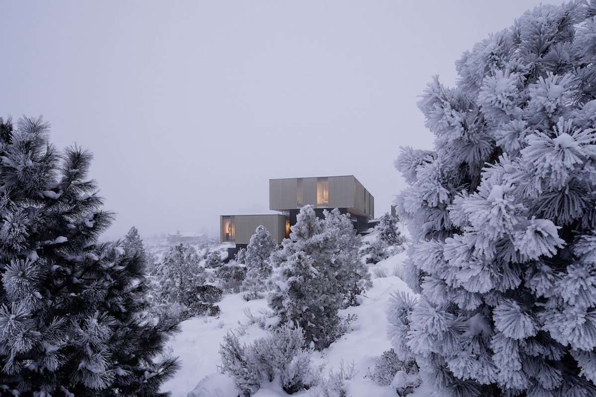 Modern home through trees in wintry scene