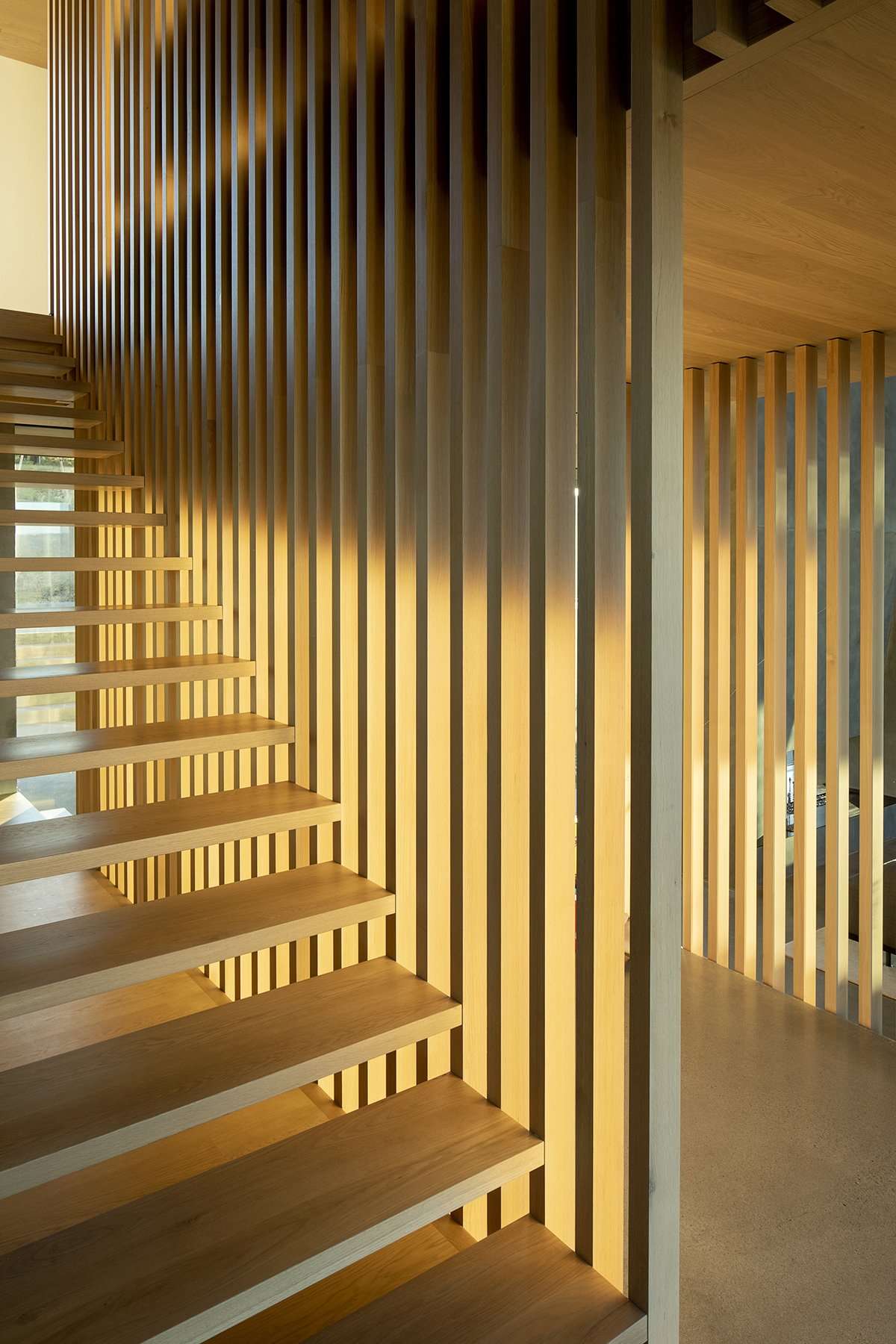 Sunlight filters through stairs and slatted walls